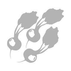 beetroot icon on white background, vector illustration