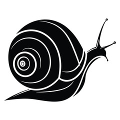 A stylized black snail reveals a swirling pattern with a transparent background