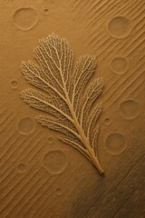 Leaf Vein Skeleton Placed on Dried Textured Mud Surface with Circle Imprints

