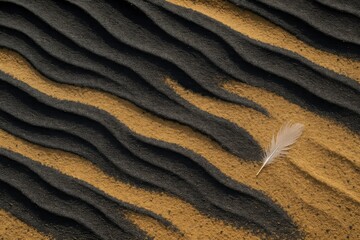 Feather Resting on Dual-Tone Sand Waves with Eroded Surface Texture

