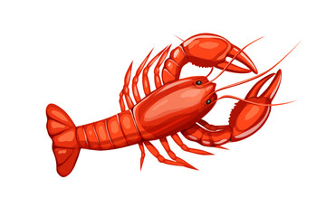 lobster design isolated on the white background.delicious and fresh seafood concept clip art template vector illustration.