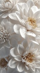 Close-up of several creamy-white, sculpted dahlias, showcasing intricate petal details and subtle beige centers