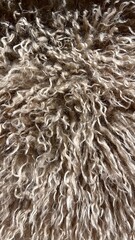 Fur texture