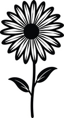 Chamomile