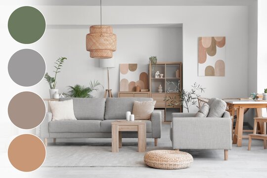 Interior of light living room with grey sofa, table and houseplants. Different color patterns