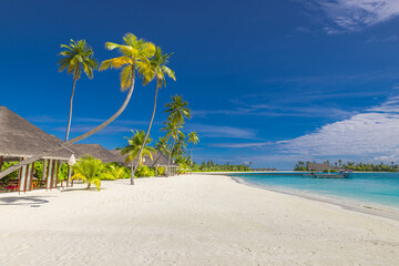 Tropical beach resort with palm trees and white sand under sunny sky beautiful landscape scene exotic vacation destination perfect for relaxation travel tourism summer holiday tropical island paradise