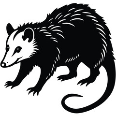 opossum vector