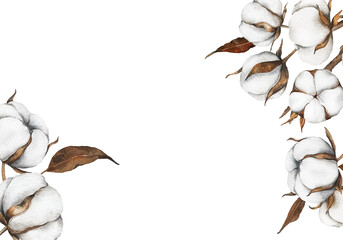 Hand Drawn Cotton Flowers Watercolor Illustration. Cotton Balls isolated on white. Floral Watercolor Art. Cotton Plant watercolor drawing. Cotton Branches Hand Painted Isolated. Eco and organic design