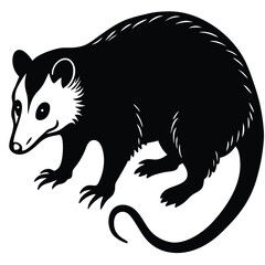 opossum vector