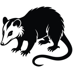 opossum vector