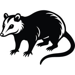 opossum vector