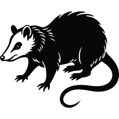 opossum vector