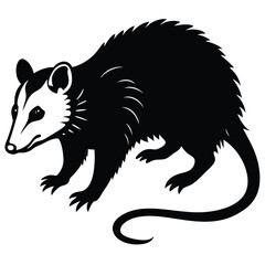 opossum vector