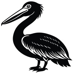 pelican vector