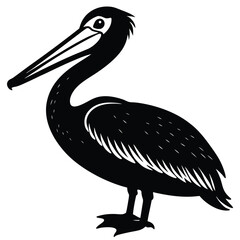 pelican vector