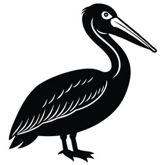 pelican vector