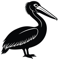 pelican vector