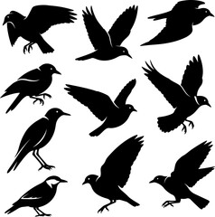 Birds Mix_Silhouetter Vector 0004.eps