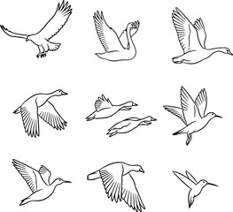 Flying Birds Mix_Silhouetter Vector 0001.eps