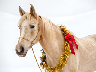 Elegant horse with a sparkling garland and festive bow on a white background, holiday-themed portrait