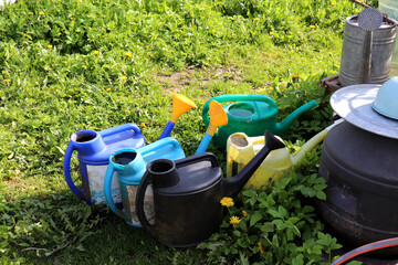 Water in watering cans and barrel on grass for watering plants in garden in shade - horizontal color photo, close-up
