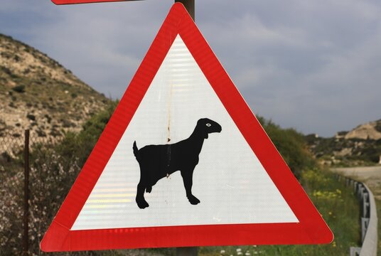 A triangular warning sign features a silhouette of a goat, positioned along a rural road surrounded by hilly terrain and greenery. This sign alerts drivers of potential goat crossings in rural Cyprus.