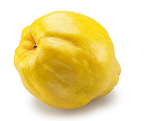 Bottom view of ripe apple quince on white background. File contains clipping path.