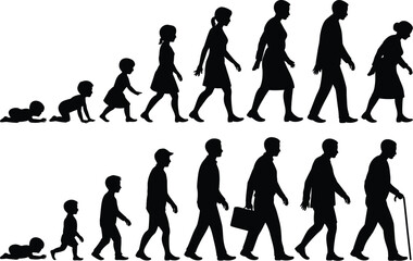 Silhouette illustration showing the stages of life for male and female