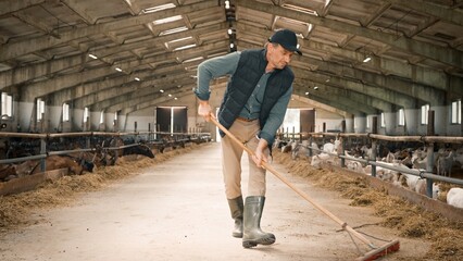 Attractive hardworking Caucasian man cleaning farm. Busy fermer with broom actively sweeping and...
