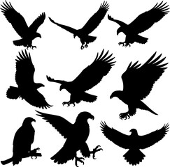 Eagle Head Group_Silhouette Vector_0005.eps