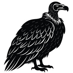 vuture vector