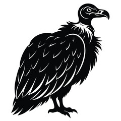 vuture vector