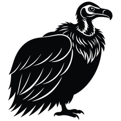 vuture vector