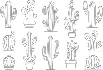 Various cactus plants in black and white line art on a white background