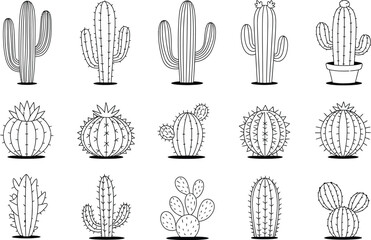 Various cactus species in black and white line art illustration style