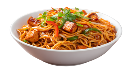 chezwan hakka noodles with paneer or cottage cheese isolated on a white background