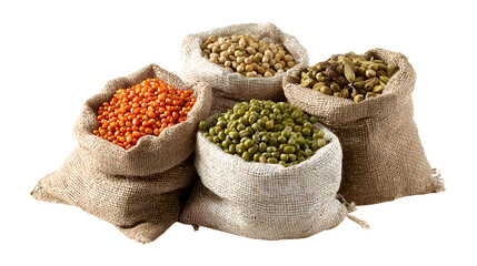 Chick-pea, mung beans in sacks isolated on a white background