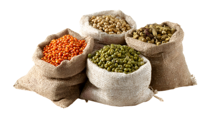  Chick-pea, mung beans in sacks  isolated on a white background