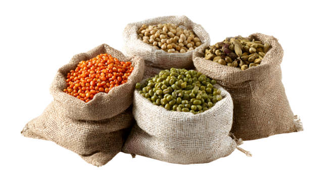  Chick-pea, mung beans in sacks  isolated on a white background