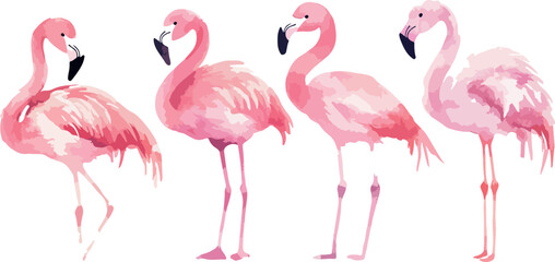 Obraz premium Elegant Watercolor Flamingo Flock on White Background Tropical Bird Illustration with Pink Plumage and Graceful Pose Ideal for Summer Designs and Artistic Projects