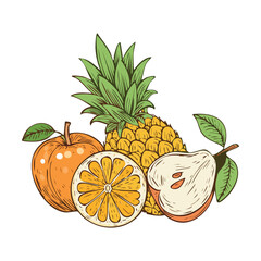 Tropical Fruit Mix Guava Inclusion - Vector Illustration