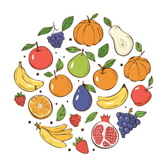 Fresh Fruit Assortment Outline Drawing - Vector Illustration