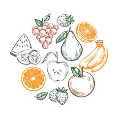 Outline Fruit Collection Hand Drawn - Vector Illustration