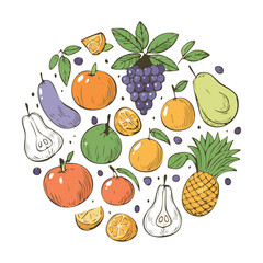Vibrant Fruit Collection Delicious Assortment - Vector Illustration