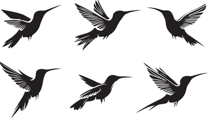 Obraz premium Elegant Hummingbird Silhouettes in Flight A Collection of Six Black and White Vector Illustrations for Design Decoration and Creative Projects Featuring Graceful Flying Birds