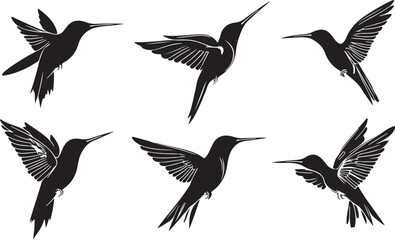 Fototapeta premium Elegant Hummingbird Silhouettes Collection Graceful Birds in Flight Vector Illustration for Design Elements Nature Lovers and Artistic Projects Black and White Minimalist Style