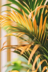 Close-up of vibrant palm fronds, golden-yellow hues, soft focus