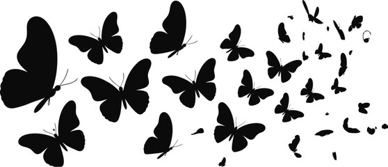 A monochrome image of a swarm of black butterflies on a white background