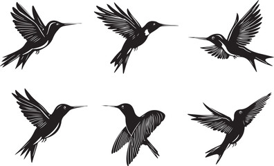 Obraz premium Elegant Hummingbird Silhouettes in Flight A Collection of Six Black and White Vector Illustrations Depicting Graceful Birds with Detailed Wings Ideal for Design Projects and