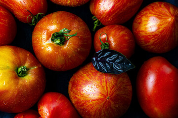 Juicy seasonal fragrant red tomatoes close-up